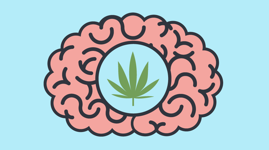 How does cannabis affect our mental health?